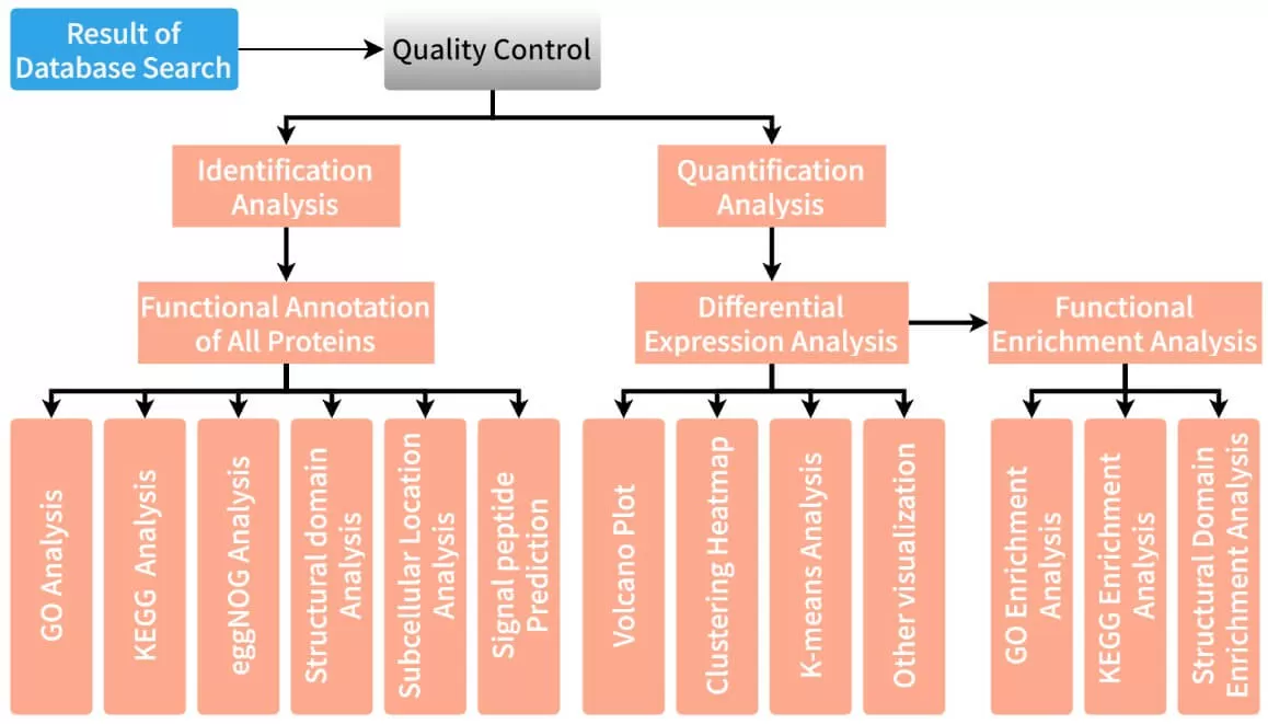 figure 1. Proteomic bioinformatics analysis